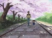 精品动漫资源｜21.9.06｜名侦探柯南｜迷宫的十字路口｜BDrip6.16G