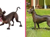 寻梦环游记变真人版，伊梅尔达容颜俏丽，突破次元壁