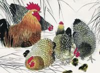 5月上旬锦鲤送福的4大生肖，好运连连，全家福旺运旺