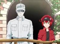 JOJO：第六部石之海特别节目来袭，正片还会远吗？