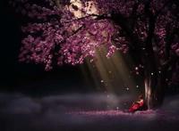 一部制作精美却凉凉的动画，留下疑点重重，那么都有哪些呢？