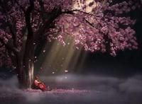 少年锦衣卫：三盗齐聚，天书九龙杯都是浮云，只有他偷走无价之宝