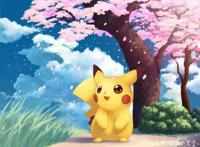 从小陪伴的动漫，你都看过哪些？