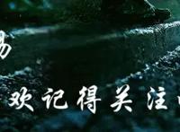 阴阳师：下期最可能联动的作品，诸多玩家期待幻想乡的老太婆