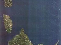 机械生物、剑齿虎、混种恐龙，这是一部不一样的《侏罗纪世界》