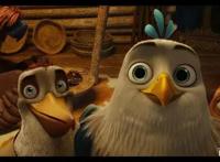 《老鹰抓小鸡》：一只被鸡养大的鹰