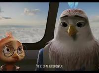 《老鹰抓小鸡》：一只被鸡养大的鹰