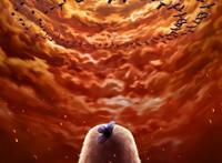 《老鹰抓小鸡》定档，会是国漫IP的再度创新吗？