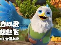 《老鹰抓小鸡》诠释经典，好评爆表，质量层层把关