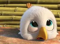 《老鹰抓小鸡》发布预告，全羽毛特效，童年的记忆都回来了吗？