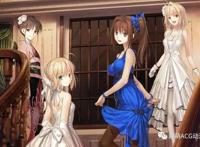 大的要来了？型月的《魔法使之夜》疑似将推出剧场版