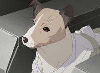 这个10月有看点，新番动画《月亮与莱卡与吸血公主》制作十分精良