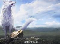 《定海浮生录》优美经典的语录，你在的地方，就是我的温柔乡！