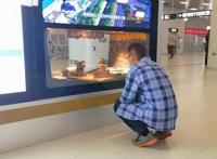 “太阳神鸟”拍了拍北京地铁，上演“古蜀迷你剧场”