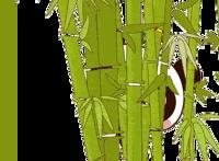 太惨！京都大火已致33人死亡，嫌犯喊出纵火原因，安倍说……