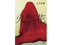 Netflix18部日剧推荐：《AV帝王》、《灵异界限》追起来