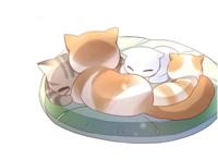 盘点三部关于猫咪的日常漫画，第二部很暖心