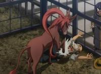 驴子也能够变美少女，动漫男主是在开后宫还是开动物园？