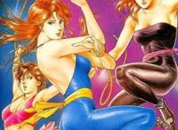 动漫杂谈：盘点动漫界各大团体的数字和统称