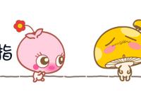 职场甜文：面对爱情亲情与阴谋陷阱，已落大盘的小棋子如何逆袭？