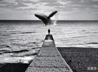 职场管理者摧毁下属的阴谋：良驹与跛脚骡子的陷阱