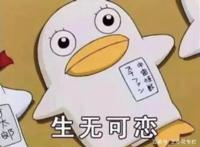 职场：王小花所见之阴谋