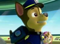 少儿动画片《汪汪队立大功》遭美国网友抵制，只因阿奇是只警犬！