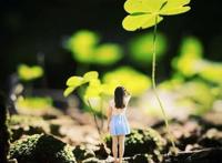 解密山海经：上古小人国，身高不足10厘米，蝴蝶当飞机蜣螂犁地