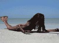 《山海经》有三十多个怪异的国家，小人国，美人鱼和鸟人至今还在