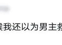 《春秋封神》最新剧情引热议！看完网友直呼：错付了？