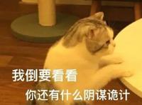 《春秋封神》今日开播，后续剧情重要伏笔被曝光