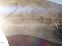 《绝命响应》：智能机器人的抓捕斗争