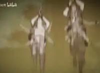 《魁拔之殊途》制作完成只等过审，《魁拔4》进度顺利没有意外