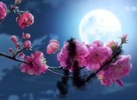 被指抄袭又差评如潮，视美新作《历师》口碑为何两极分化