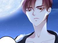 猫妖的诱惑287话：时隔千年沈墨卿重返沈家，凤凰形态越来越帅