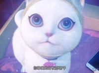 《猫妖的诱惑》算是洗不白了，换OP重新上架仍然被差评