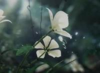 双男主动画《民调局异闻录》来了，不是“基番”，沈辣比原著帅