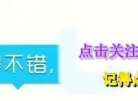 动漫《斗罗大陆》与动漫《侠岚》相比，哪一个更好看点？