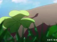 妖精种植手册：穿越异世，爽文，一起来看看吧！