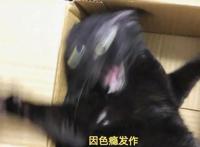 漫画《妖精种植手册》：说好了开后宫呢？我继承后宫是咋回事啊！