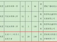 从真人剧到动画，《长安十二时辰》能否成功进入ACG圈？