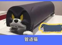 猫和老鼠：细节感人！官方为了致敬动漫，竟埋了这么多暗线！