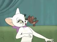 猫和老鼠的几个版本，94年画风更为贴切，最受欢迎的你觉得是哪个