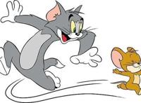 它是每个人童年都看过的绝对经典动画，《猫和老鼠》