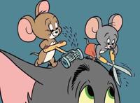 动漫壁纸｜猫和老鼠