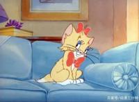 猫和老鼠中的4只母猫，每一只都能把汤姆迷得神魂颠倒