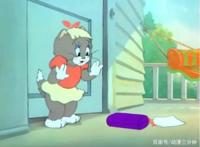 猫和老鼠中的4只母猫，每一只都能把汤姆迷得神魂颠倒