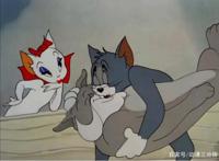 猫和老鼠中的4只母猫，每一只都能把汤姆迷得神魂颠倒