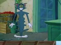 猫和老鼠｜一部既让观看者心疼，又因汤姆猫悲惨而内心舒适的动漫