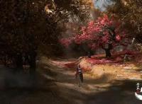 《枕刀歌之尘世行》：一部动漫撑起了中国武侠电影